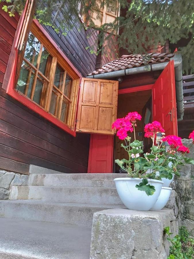 Cabana Sabrina Villa Bran  Luaran gambar