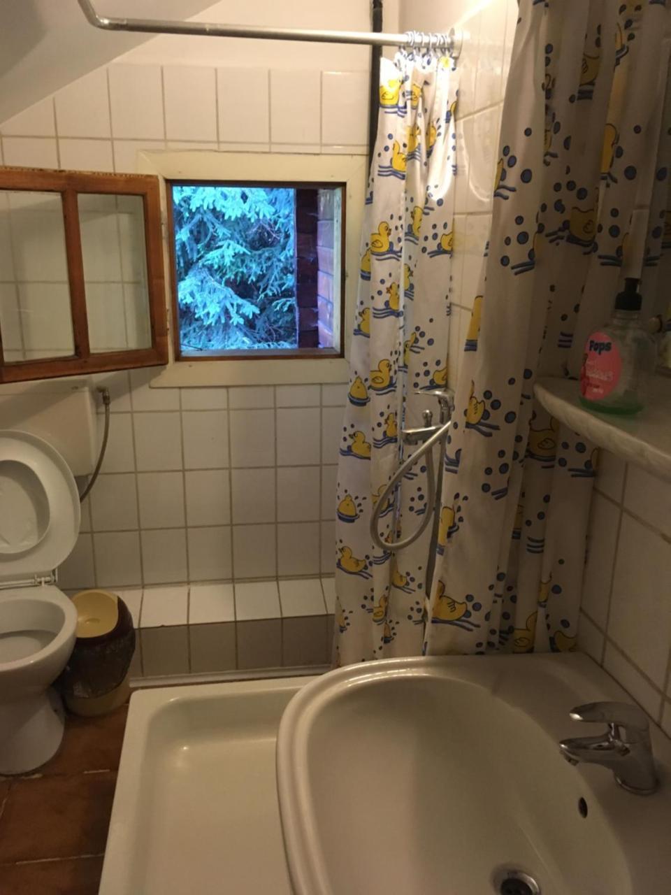 Cabana Sabrina Villa Bran  Luaran gambar