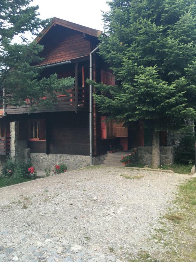 Cabana Sabrina Villa Bran  Luaran gambar