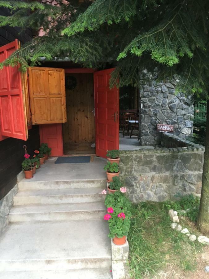 Cabana Sabrina Villa Bran  Luaran gambar